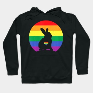 Lgbt Rabbit Gay Pride Month Support Equality Hoodie